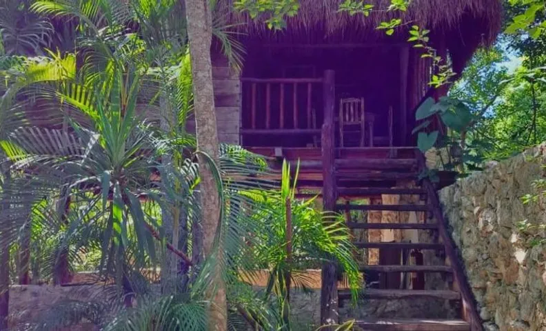 Casa Mango