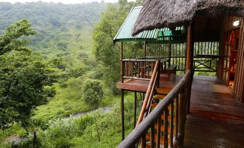 Treehouse River Lodge