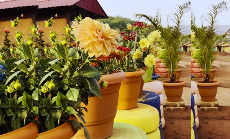 Pankajini Resort & Farmstay