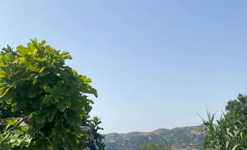 Maison d'hotes oued el Makhazine chez Bilal