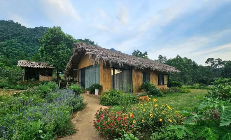 Sao Farmstay