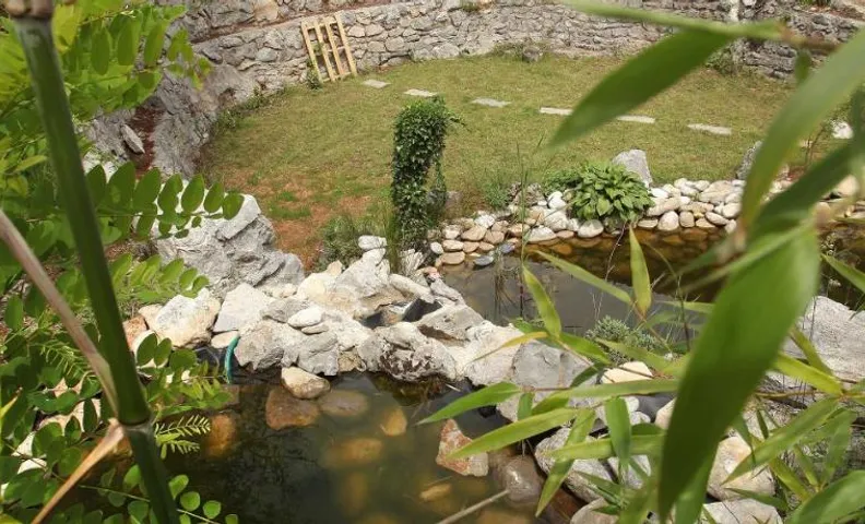 Vila Salamander