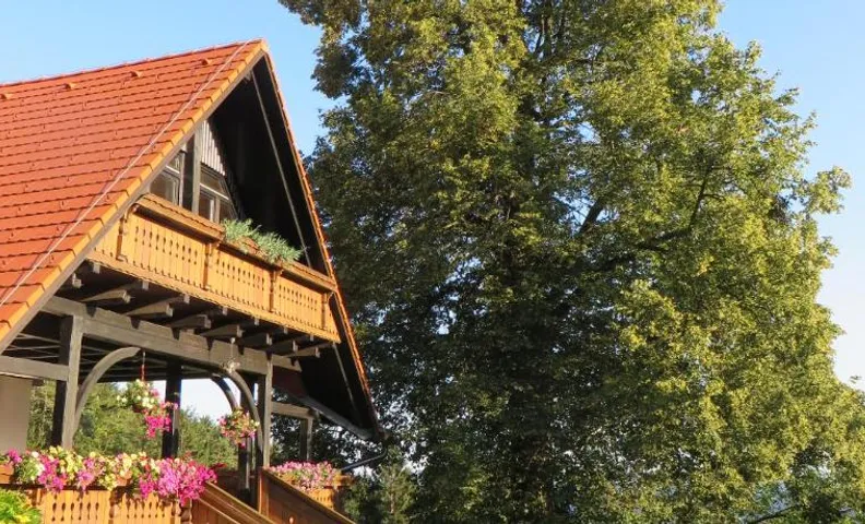 Country House Apat