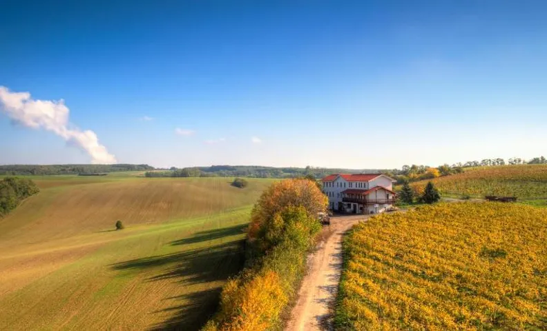 Vinum Vivo winery
