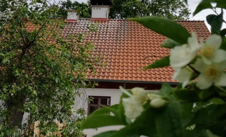 Żywkowo Bocianie Gospodarstwo Rolne