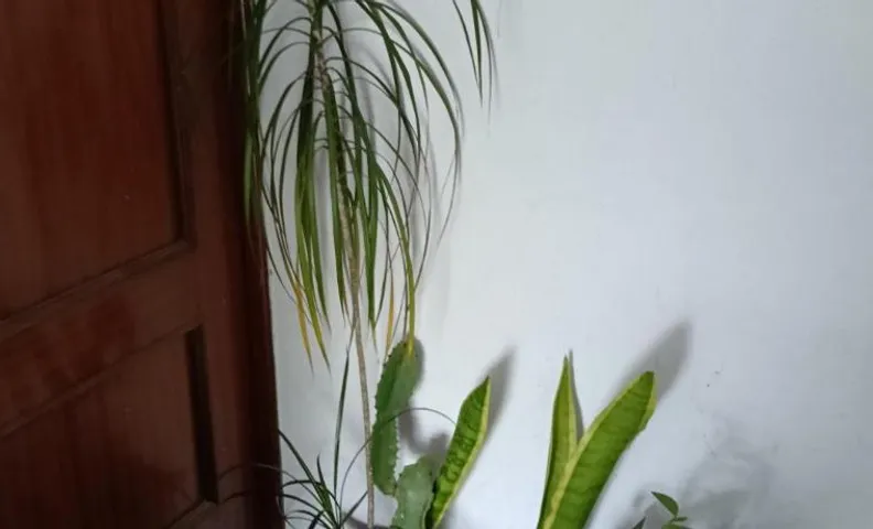 Lisbon Room