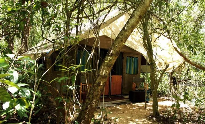 Explorer by Eco Team - Dambana
