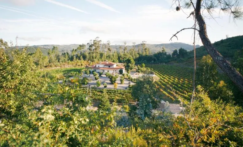 Quinta da Paixão - Bed & Breakfast