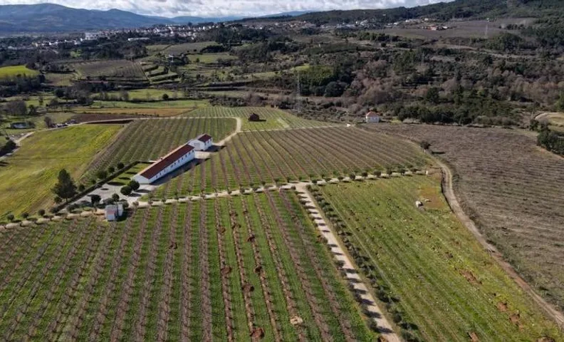 Quinta Lourena - Casa do Caseiro