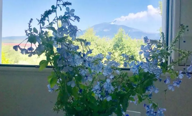 La Finestra Sull'Etna