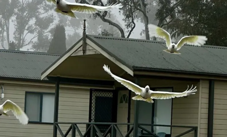 Eaglehawk Park Canberra