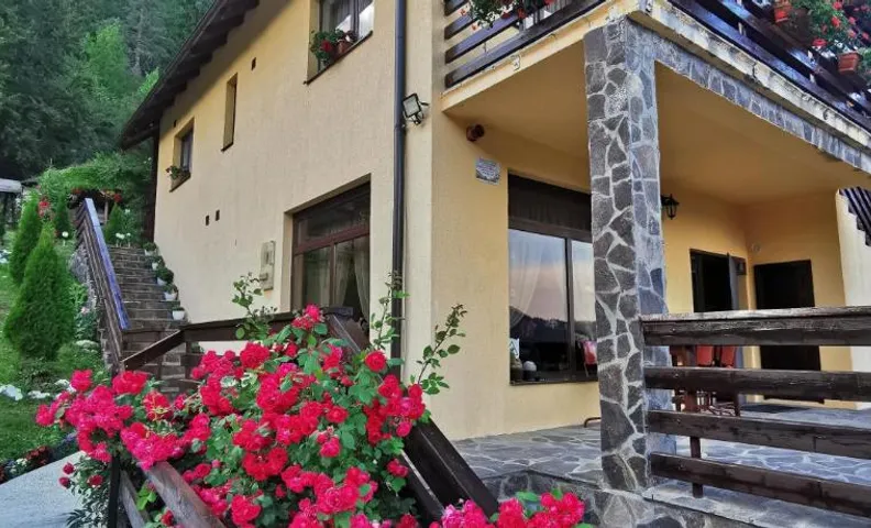 Casa Codrilor