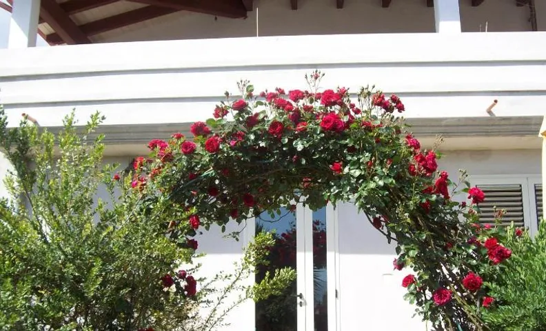 B&B Kazakova
