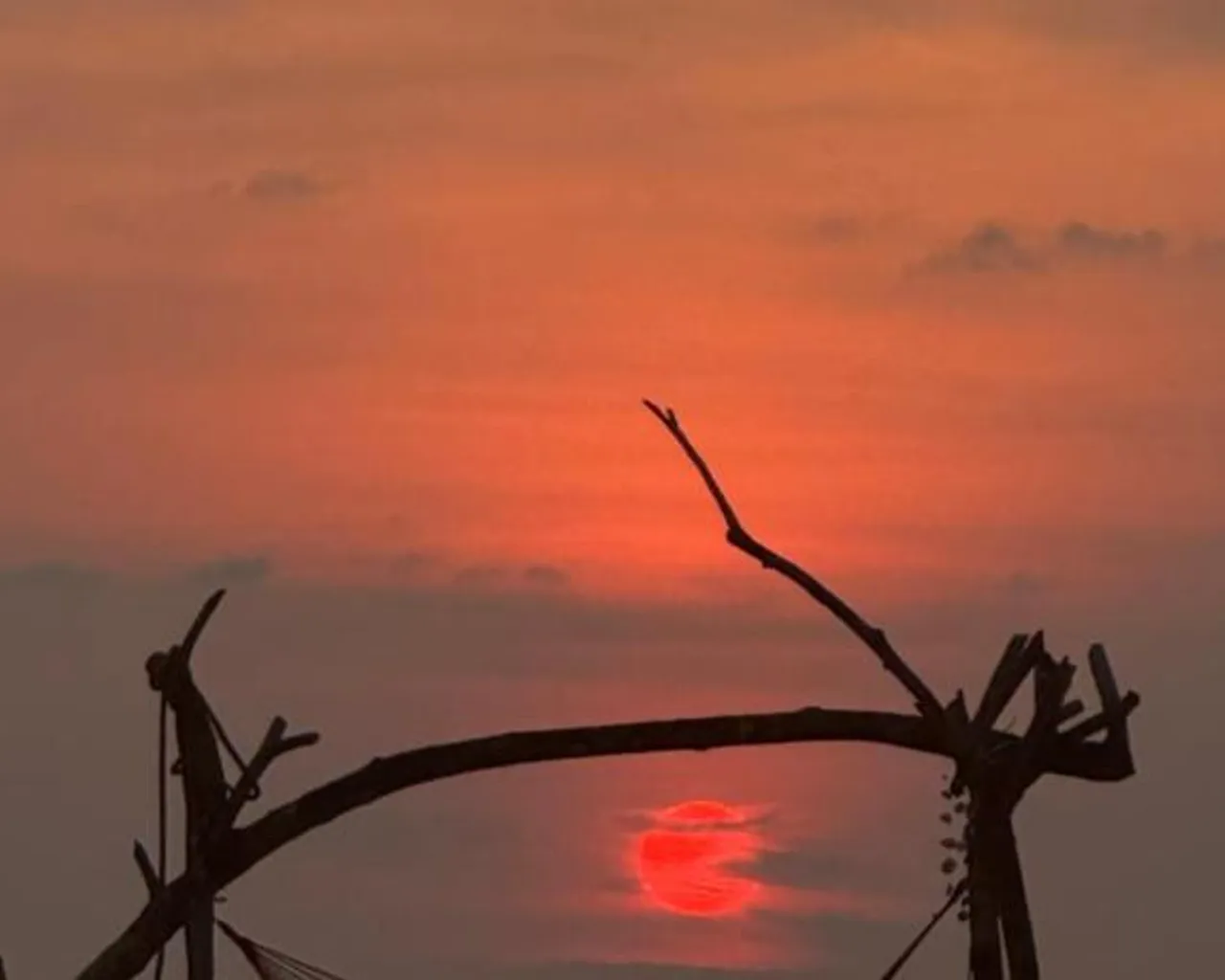 해변