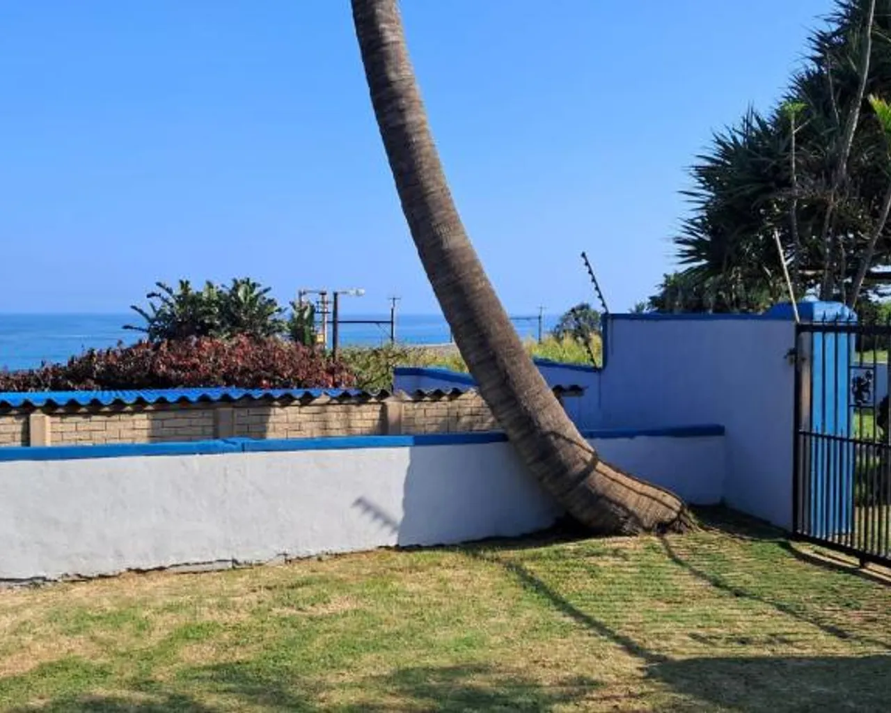 주변 환경