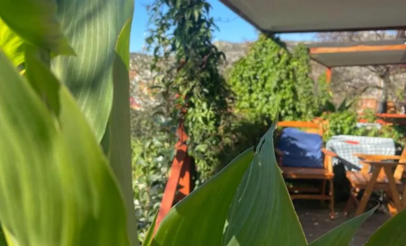 Söğüt Taşlıca Erol Köy Evi