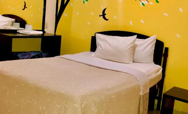 Hotel MERLI