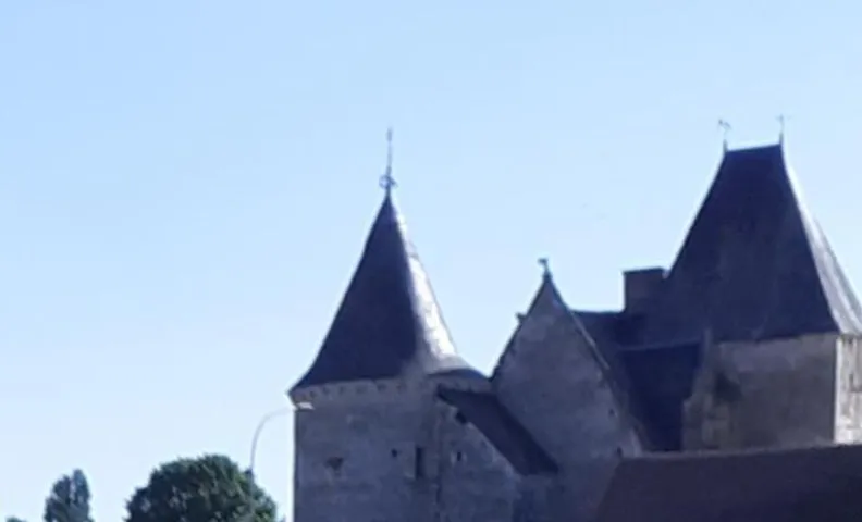 Chateau de Chemery