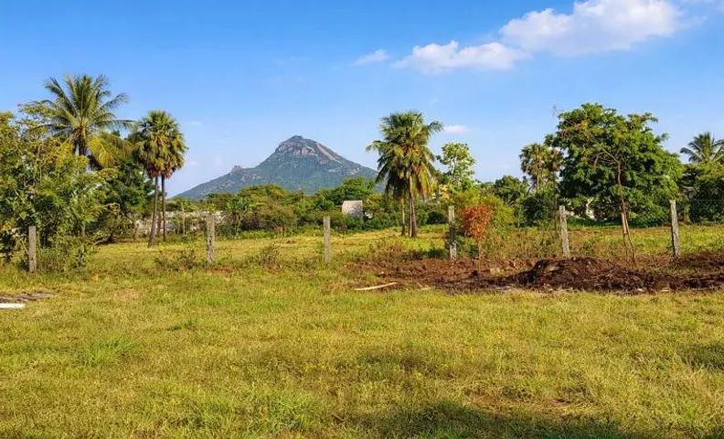 Tiru Arunachala - Peaceful Countryside Homestay