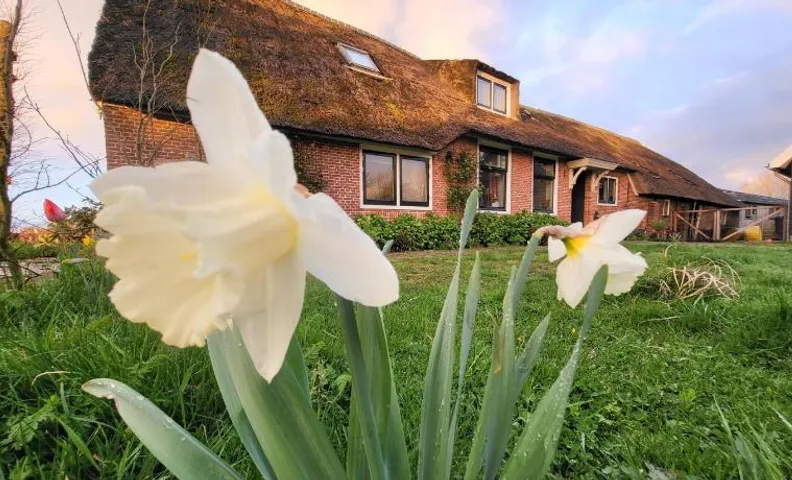 B&B Koe en Kussen