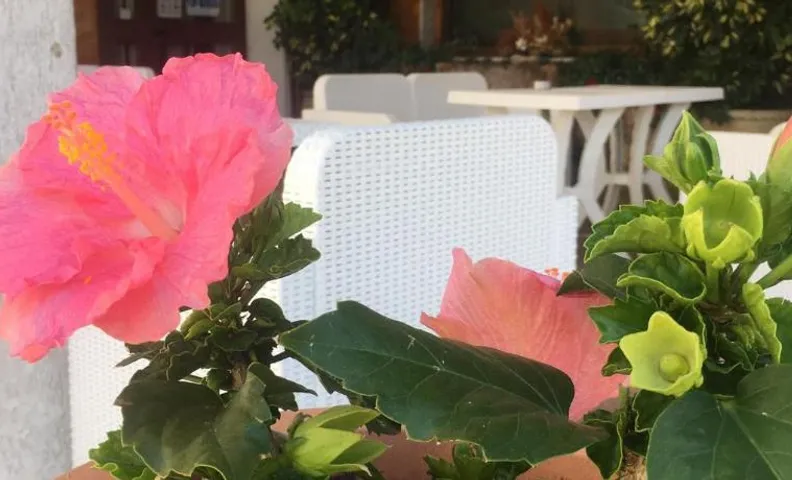 Hotel PINO LORICATO
