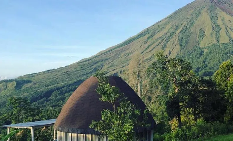 Manulalu Jungle