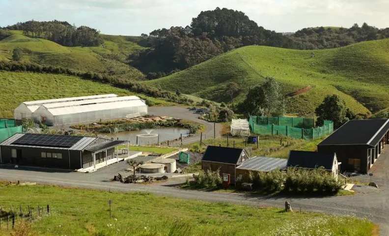 Kauri Ora Farmstay
