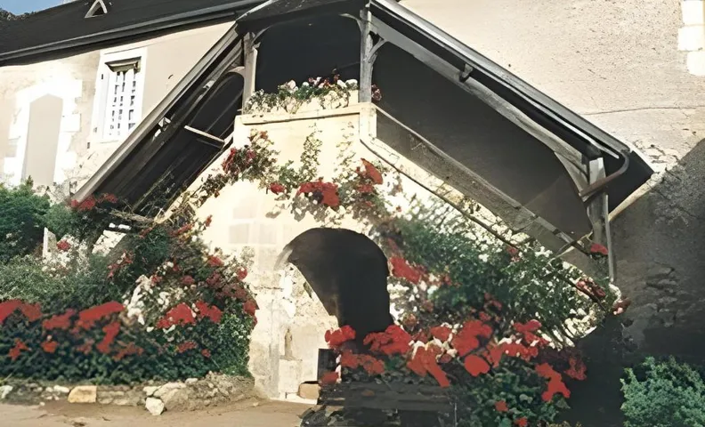 Maison Borgnat domaine viticole