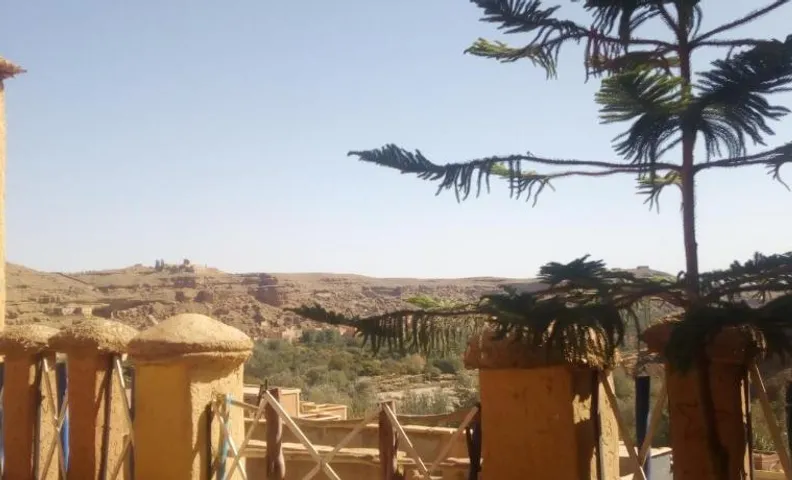 Authentique Berbère