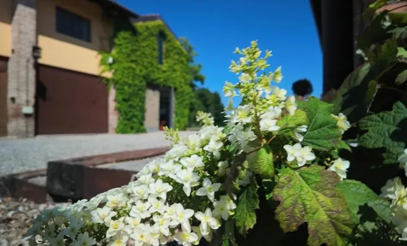 Casa Rifugio Parma