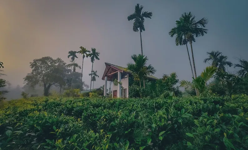 Villa RainForest Vibe Sinharaja