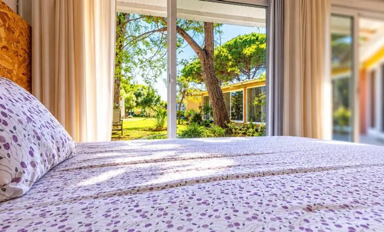 Jacaranda