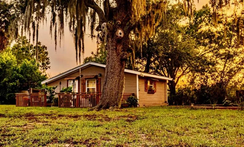 The Lake Alfred Citruswood Cabin