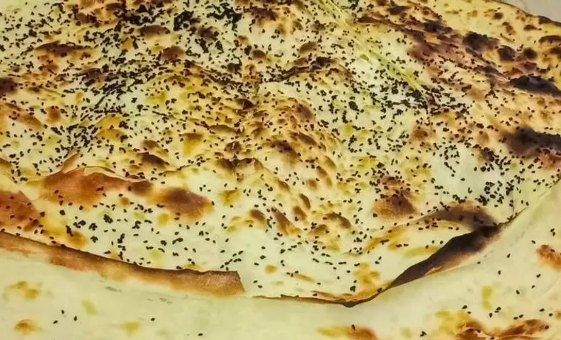 شلنر موتل