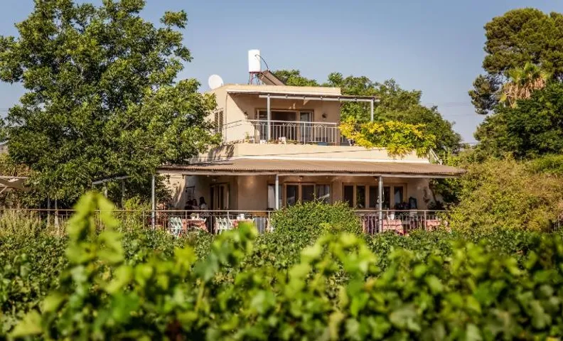 Mettler Winery