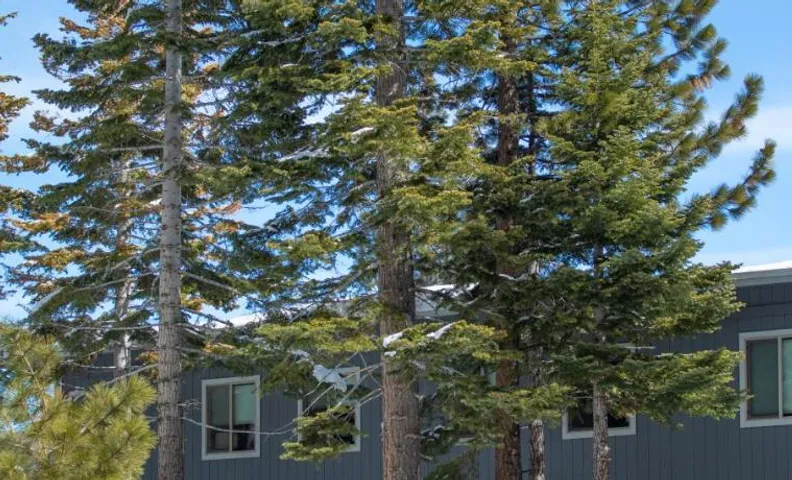 Tahoe Trail Resort