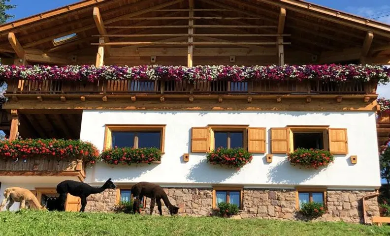 B&B Belvedere