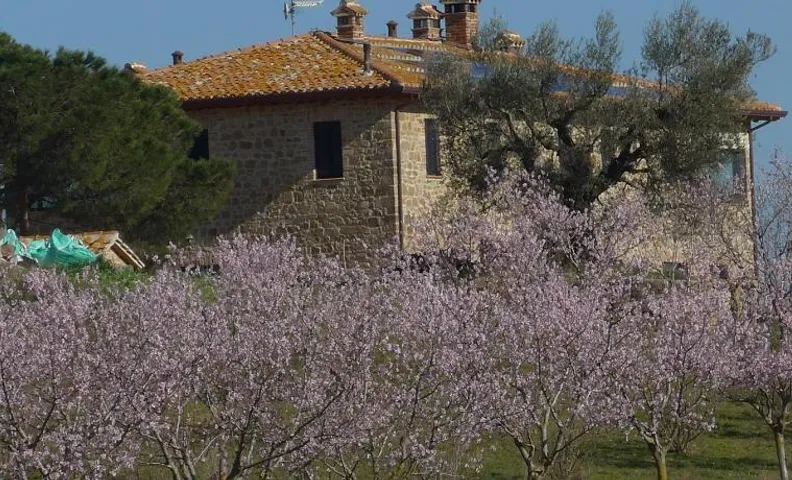 Agriturismo Il Sassolino