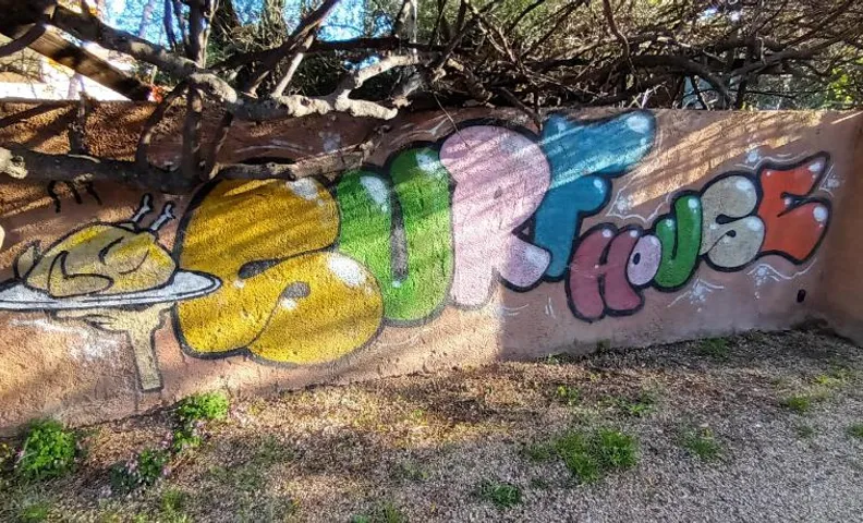 PortoPollo SurfHouse