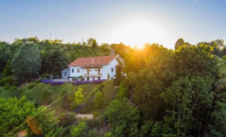 Guest House Ferri e Zani