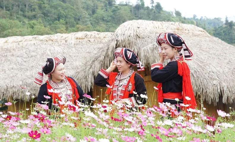 호앙 수 피 로지