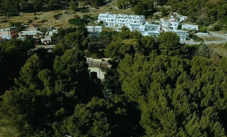 디모라 릴레 엑스첼사