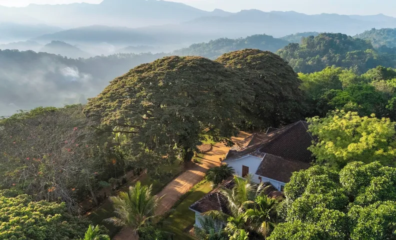 클로다 매너 하우스 바이 세븐 엔젤스