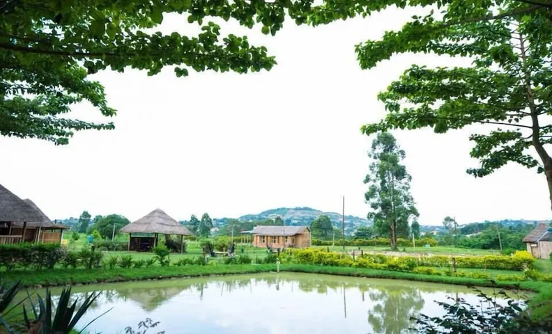 포에버 에코 리조트