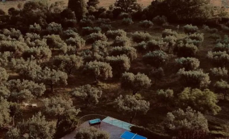 Azienda Agricola Passaro