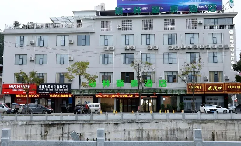 그린트리 인 후베이 셴닝 퉁청 카운티 피플스 하스피털