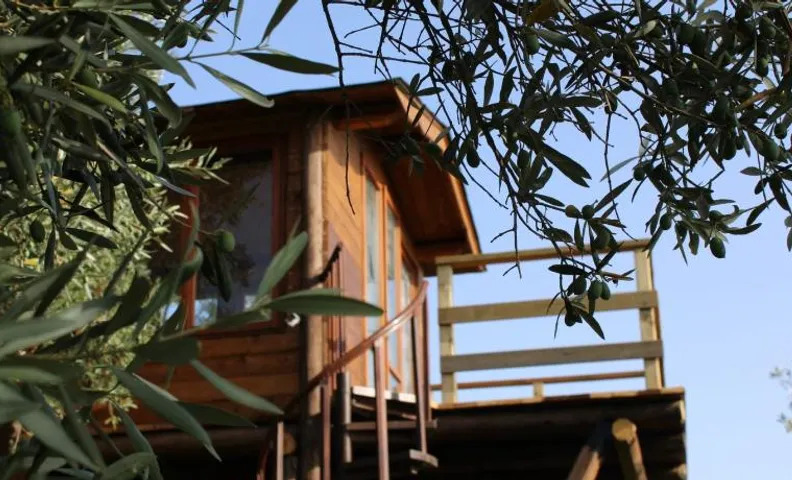 The Treehouse - Casa sull'albero al Golden Camp