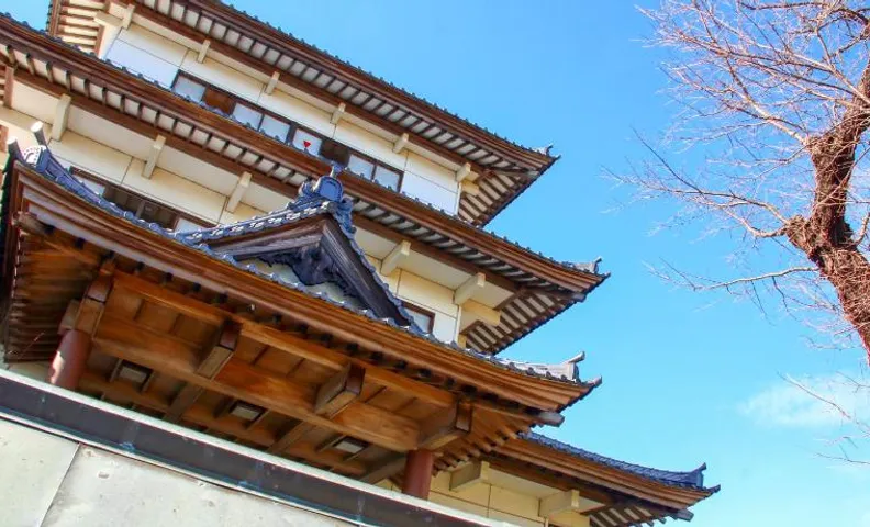 Oshironoyado Hanaguruma
