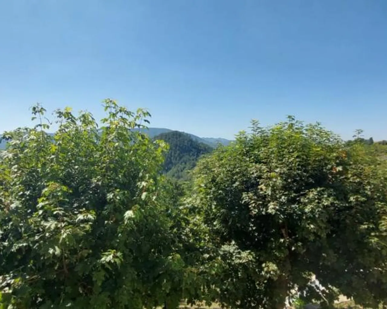 주변 환경