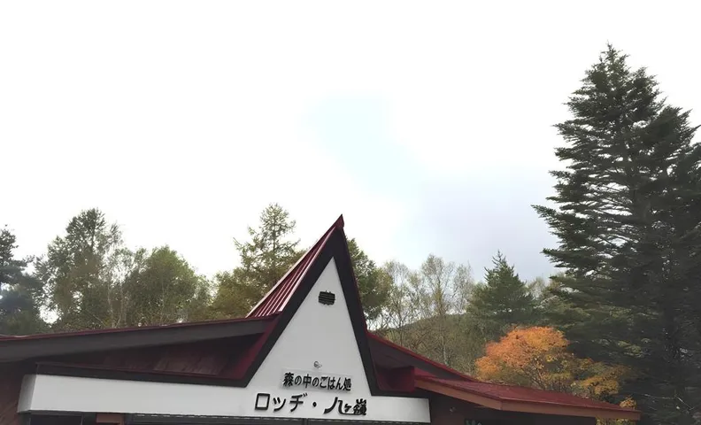 로지 야츠가네